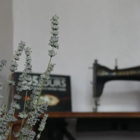 O Pois Papillon Holiday home